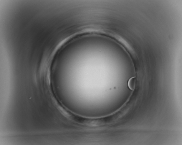 X0000113890791200910011322