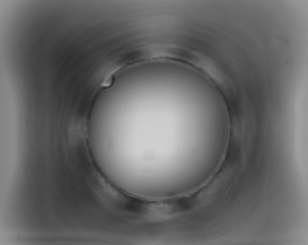 X0000113890793200910011321