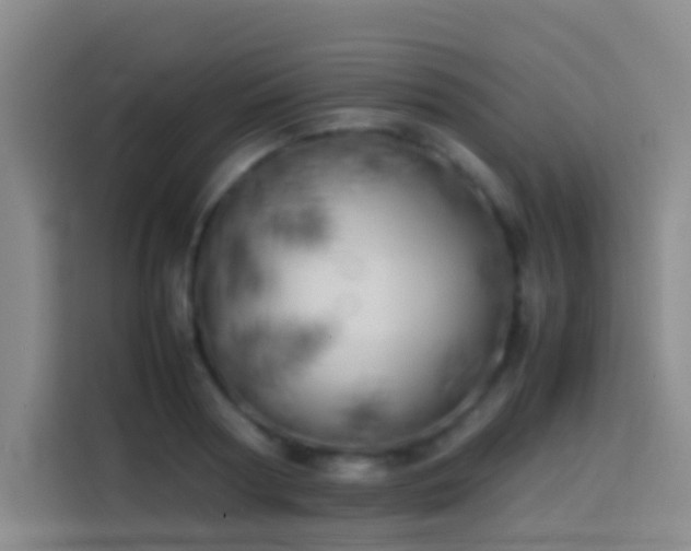 X0000113890794200910011321