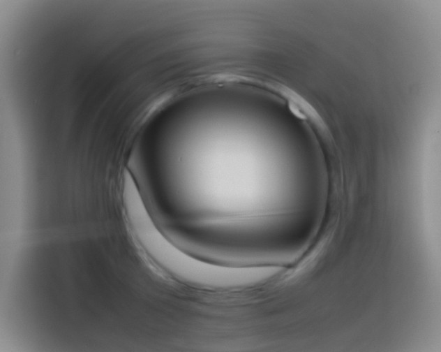 X0000113890801200910011321