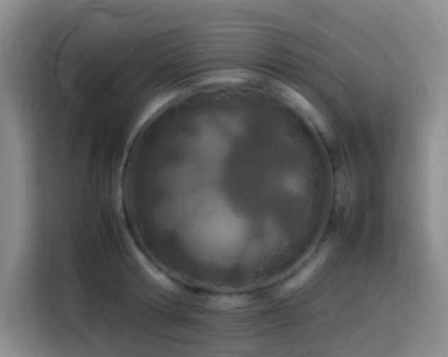 X0000113890802200910011321