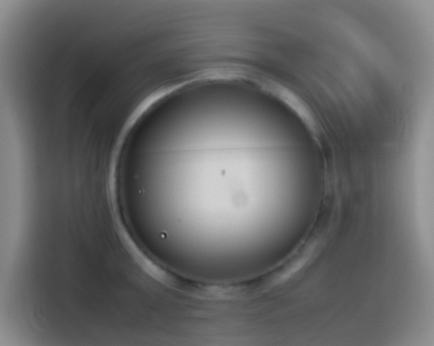 X0000113890803200910011321