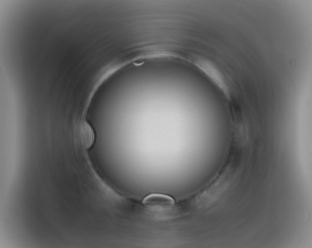 X0000113890805200910011321