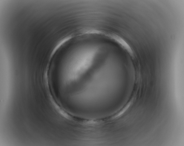 X0000113890806200910011321