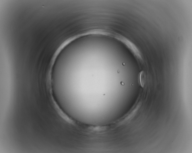 X0000113890808200910011321