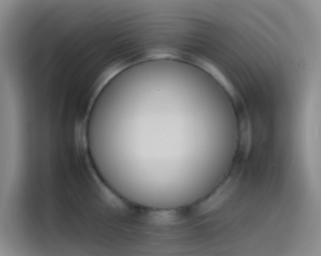 X0000113890810200910011321