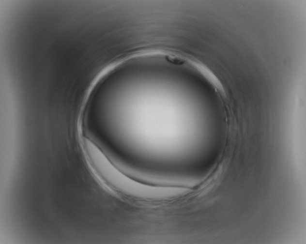 X0000113890813200910011321