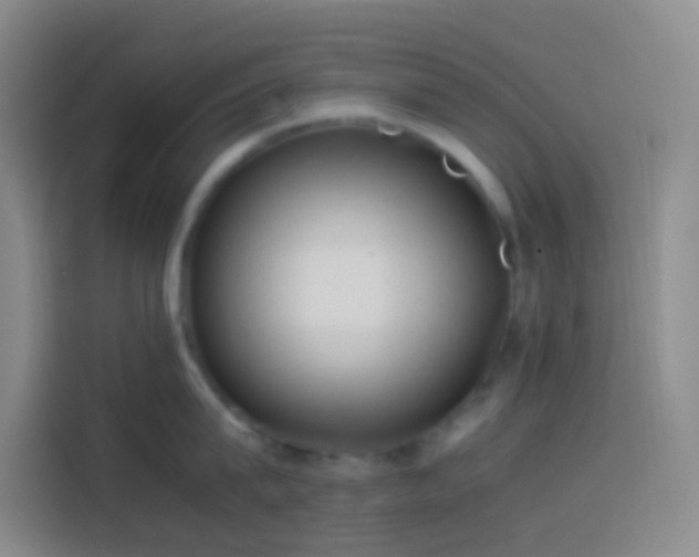 X0000113890815200910011321