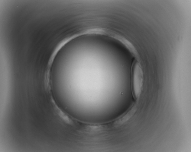 X0000113890816200910011321