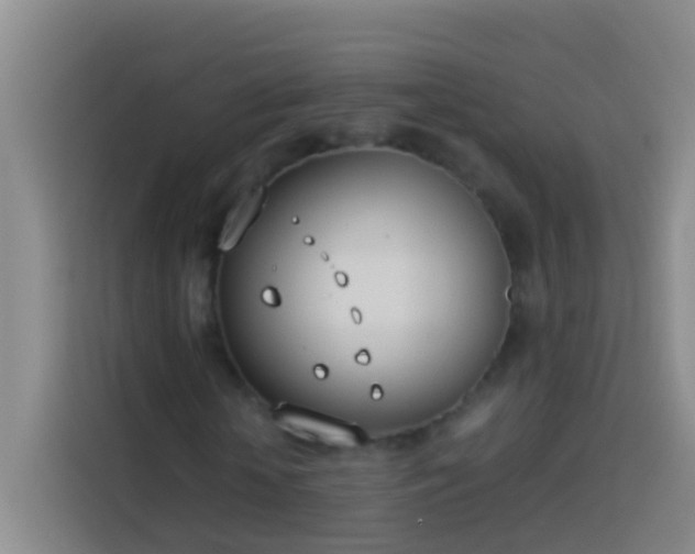 X0000113890818200910011321