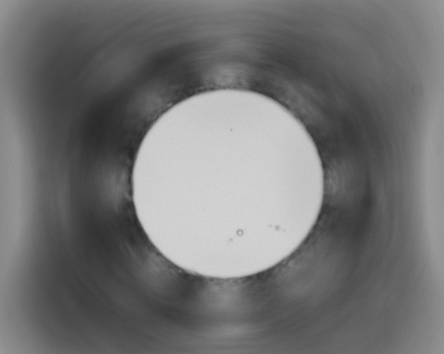 X0000113890820200910011321