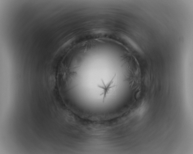 X0000113890821200910011321