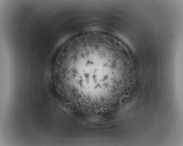 X0000113890823200910011321