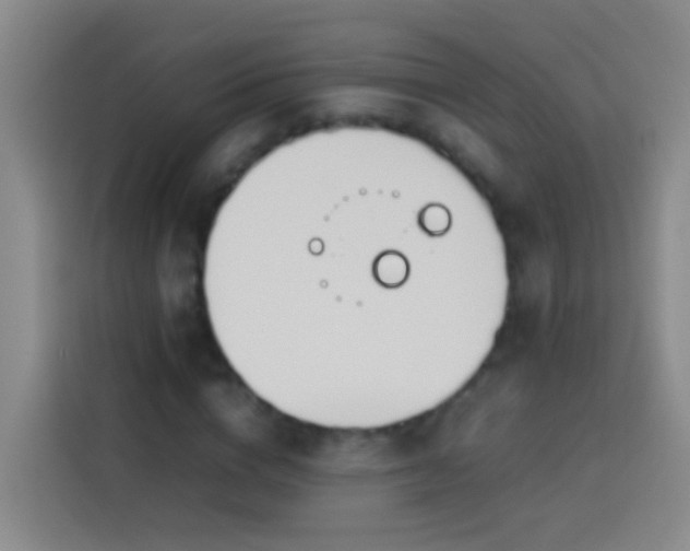 X0000113890824200910011321