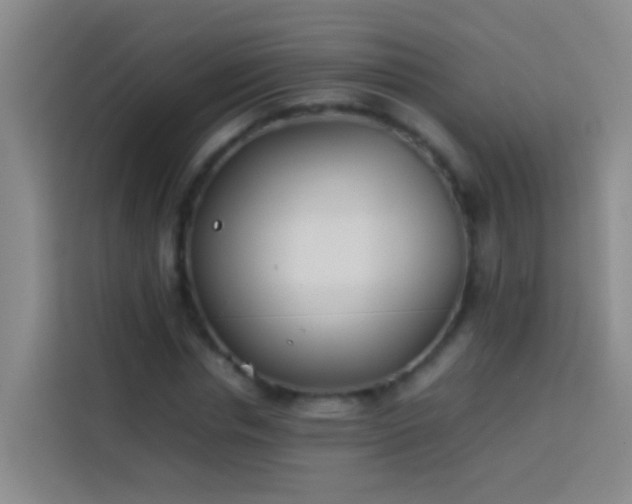 X0000113890826200910011321