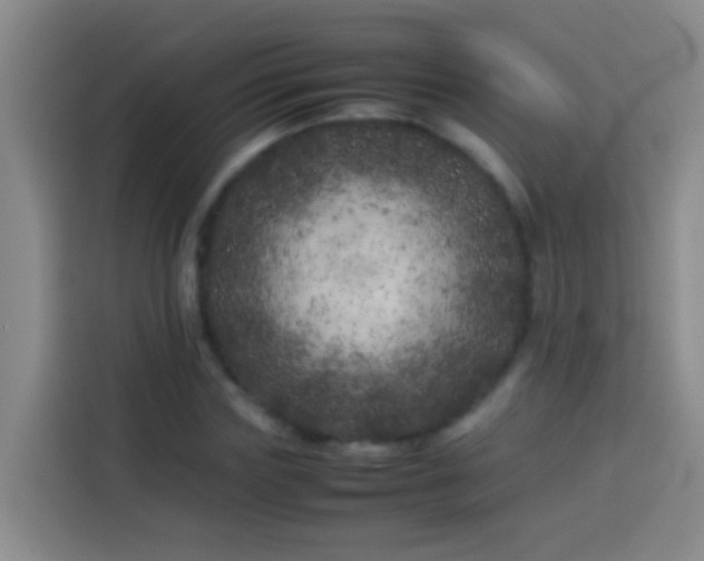 X0000113890827200910011321