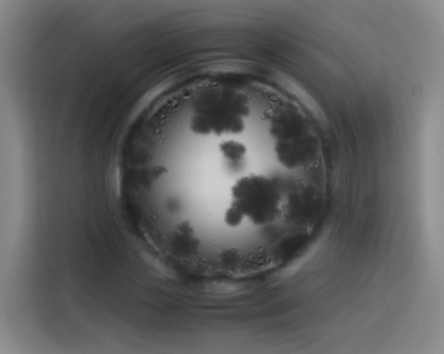 X0000113890829200910011321