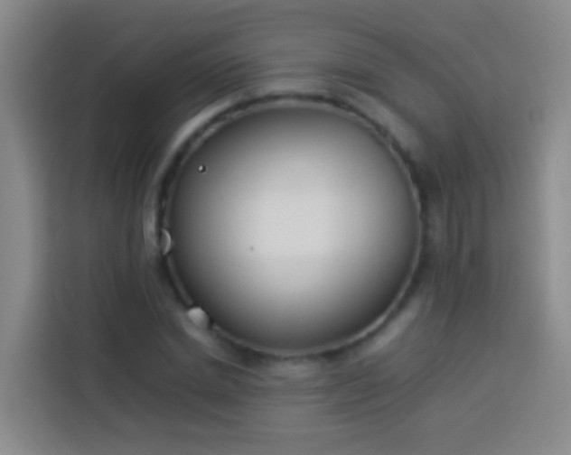 X0000113890830200910011321