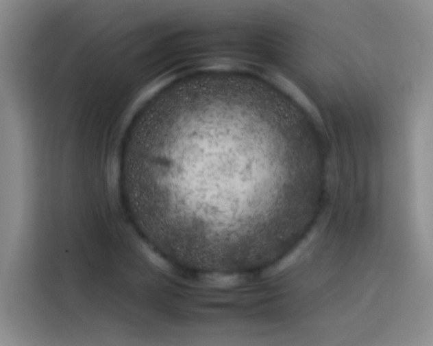 X0000113890831200910011321