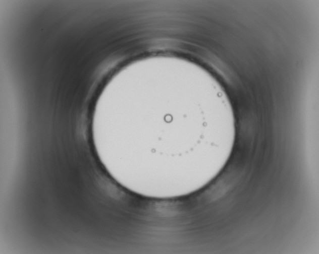 X0000113890832200910011321