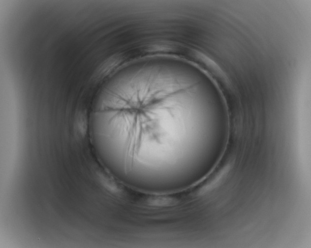 X0000113890833200910011321