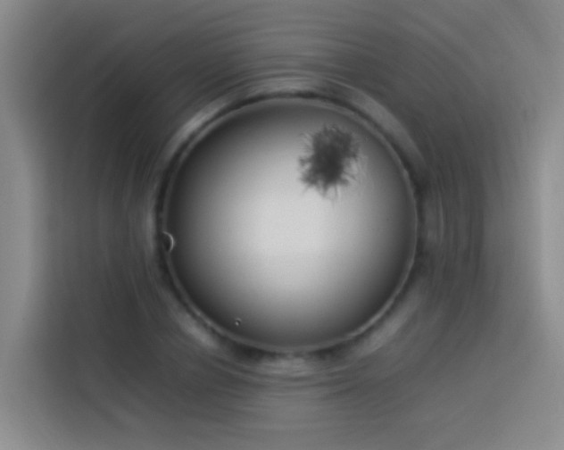 X0000113890834200910011321