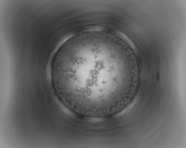 X0000113890835200910011321