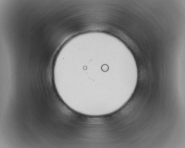 X0000113890836200910011321