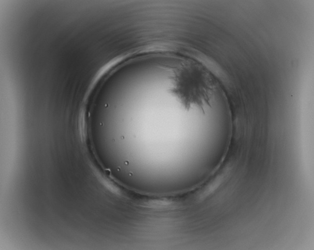 X0000113890838200910011321