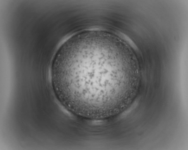 X0000113890839200910011321
