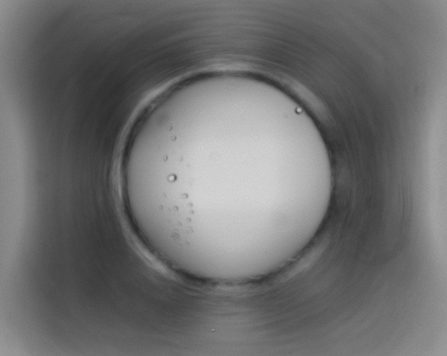 X0000113890840200910011321