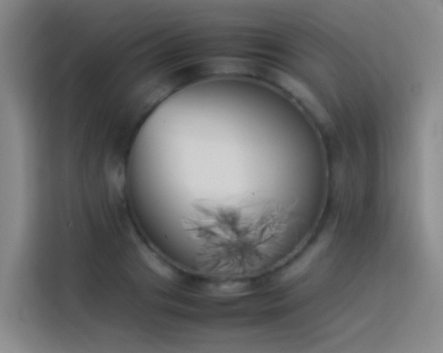 X0000113890841200910011321