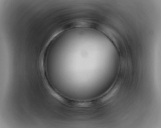 X0000113890843200910011321