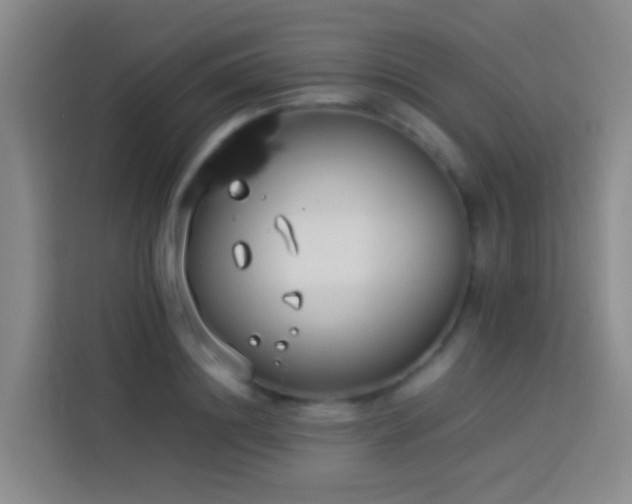 X0000113890844200910011321