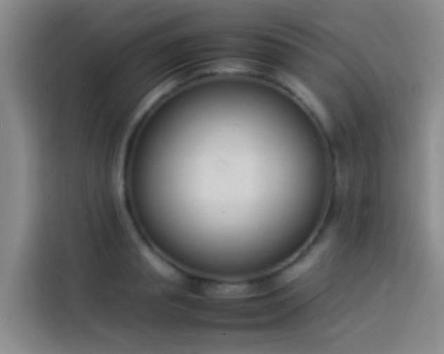 X0000113890845200910011321