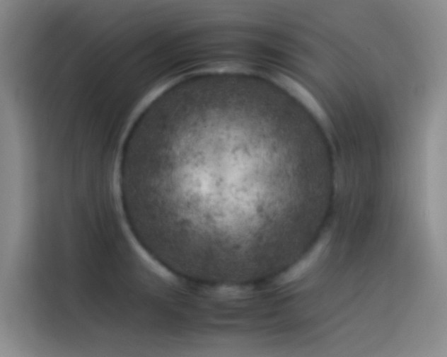 X0000113890847200910011321