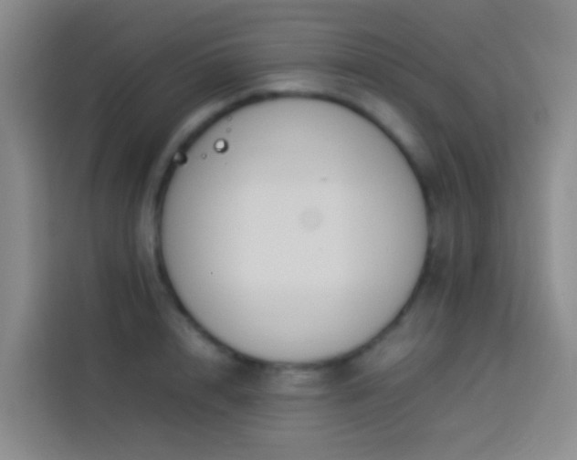 X0000113890848200910011321