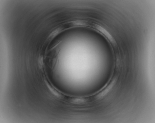 X0000113890849200910011321