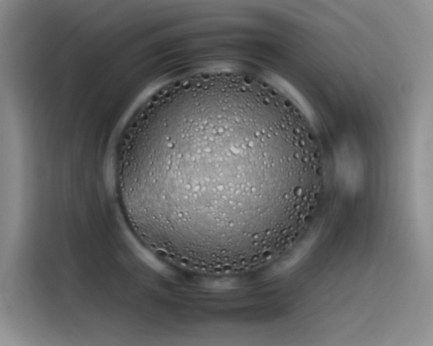 X0000113890851200910011321