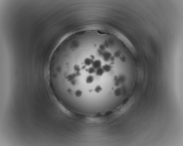 X0000113890852200910011321
