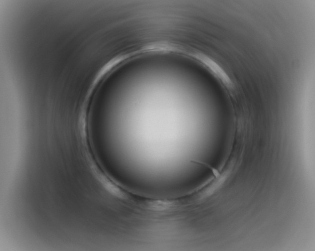 X0000113890854200910011321