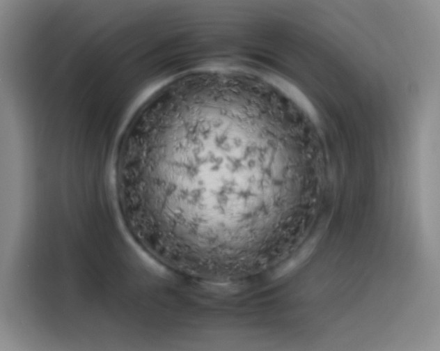 X0000113890855200910011321