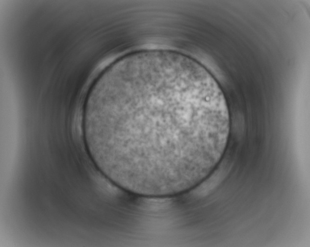 X0000113890856200910011321