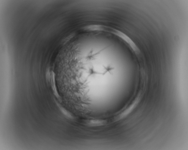 X0000113890857200910011321
