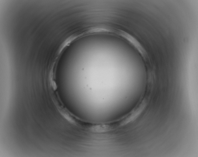 X0000113890858200910011321