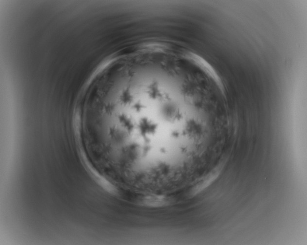 X0000113890859200910011321