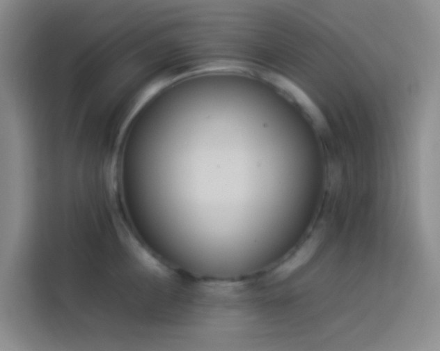 X0000113890860200910011321