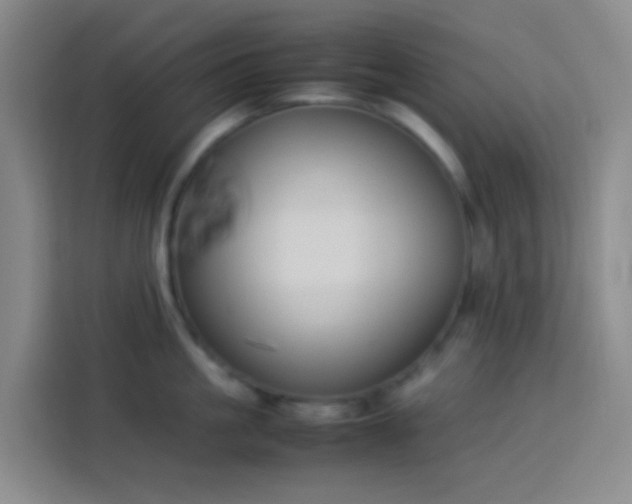 X0000113890861200910011321