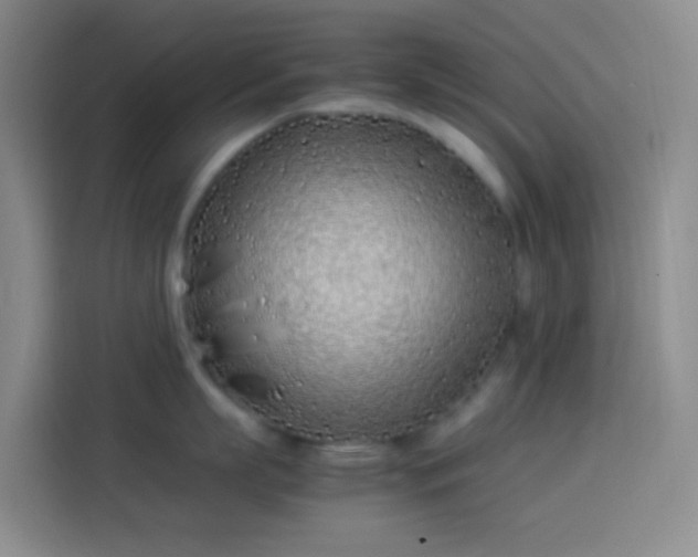 X0000113890863200910011321