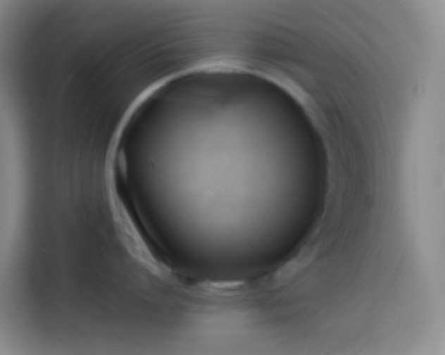 X0000113890864200910011321